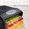 Ivation, Plastic Tray Food Dehydrator For Snacks, Herbs, Fruit & Beef Jerky